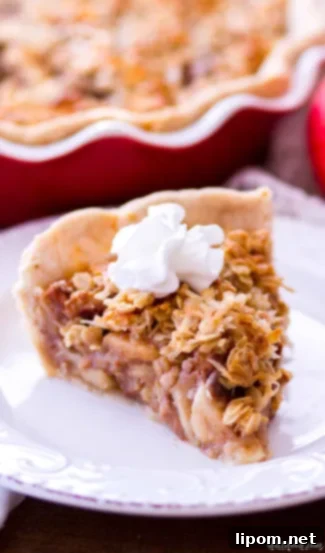 Maple Oatmeal Apple Pie - A sweet and gooey pie combining apple and maple oatmeal flavors in a homemade crust.