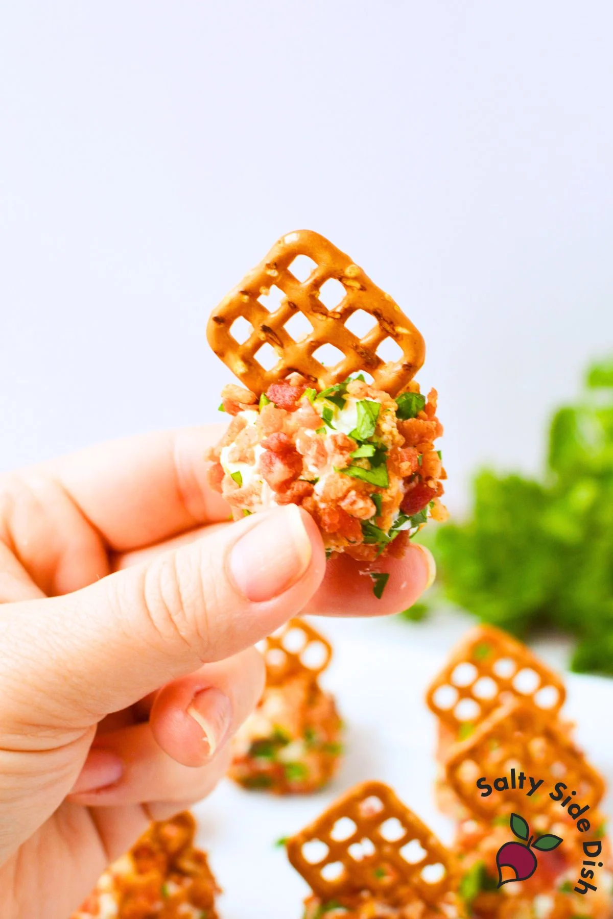 Close-up of mini cheeseball bites rolled in bacon and parsley, each with a pretzel stick, served as an easy make-ahead party appetizer.