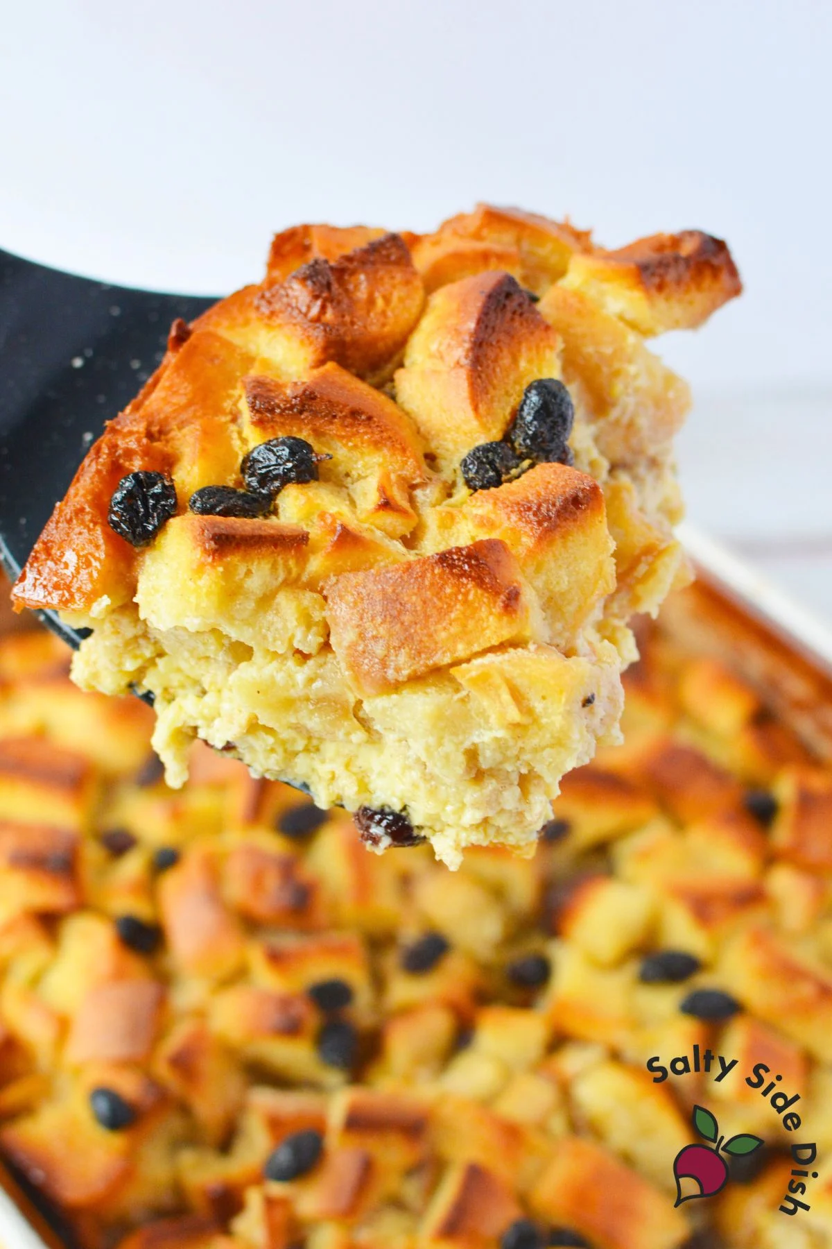 Thanksgiving bread pudding recipe with apples raisins and golden baked top