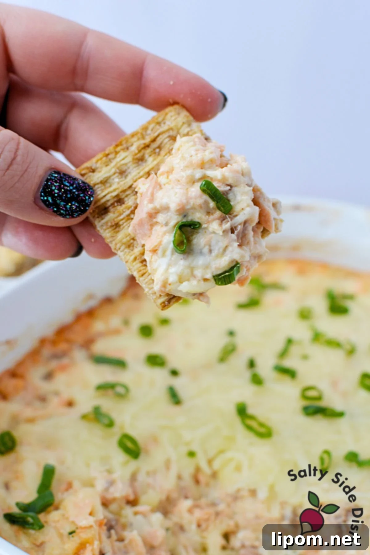 Baked Salmon Delight 6 Close up of creamy baked salmon dip