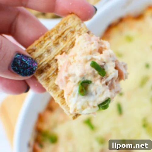 Baked Salmon Delight 7 Cracker dipped into warm baked salmon dip with melted cheese and green onions