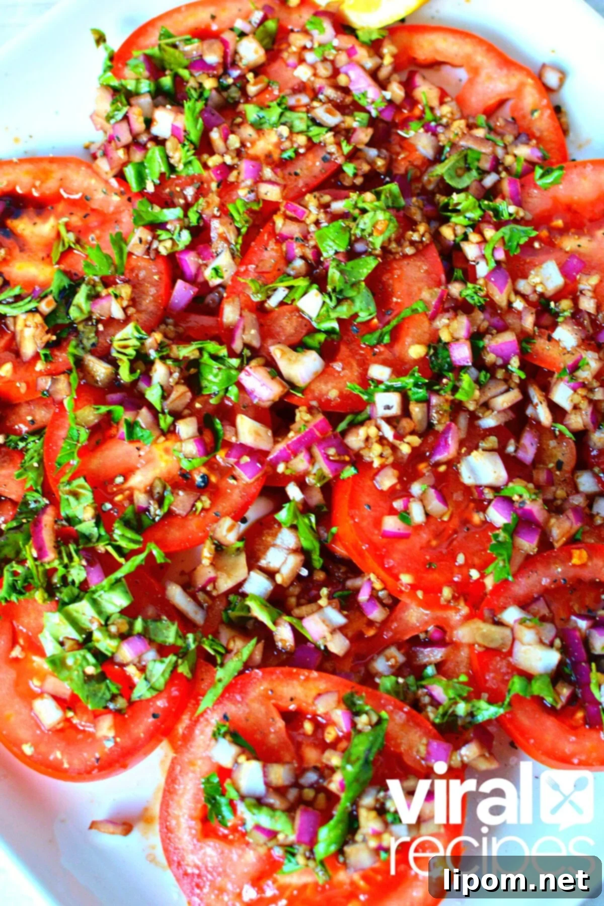 Onion Nirvana: 9 Recipes for the Dedicated Allium Aficionado 11 A vibrant tomato and onion salad.