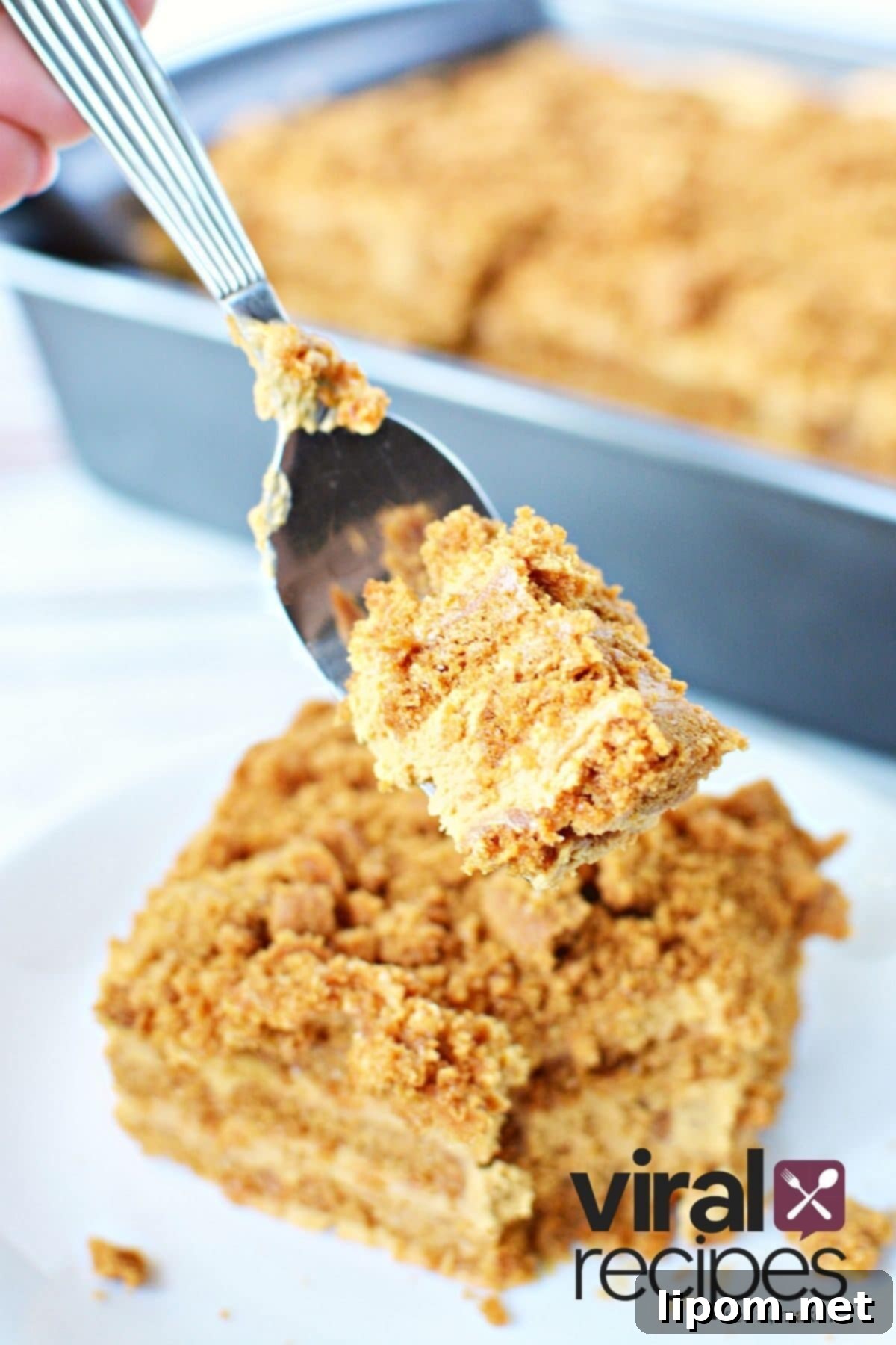 TikTok Japanese Cheesecake with Biscoff: A No-Bake Delight 10 Slice of Biscoff Cheesecake