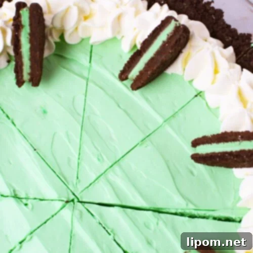 Top-down view of a beautifully sliced Grasshopper Pie, garnished with dollops of whipped cream and halved Mint Oreos on each piece.