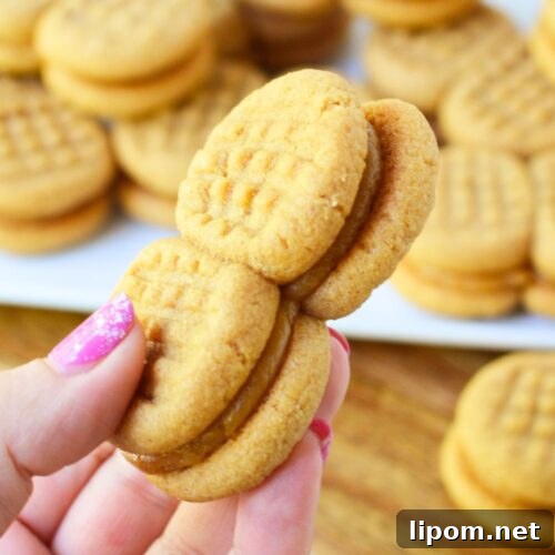 Copycat Nutter Butter Peanut Butter Cookies 8 A hand holding two homemade copycat Nutter Butter sandwich cookies with a plate of cookies in the background